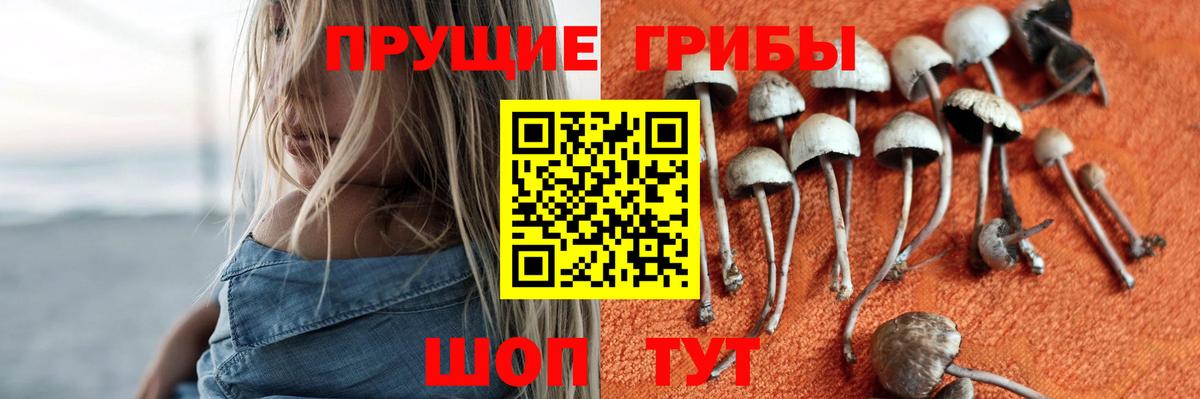 Псилоцибиновые грибы мицелий  Вход с VPN  Серов 